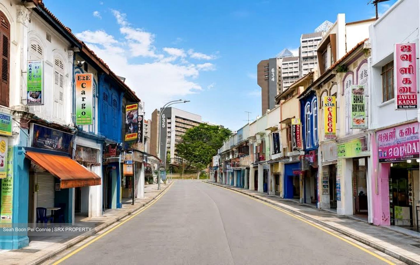 Little India Conservation Area (D8), Shop House #580201531